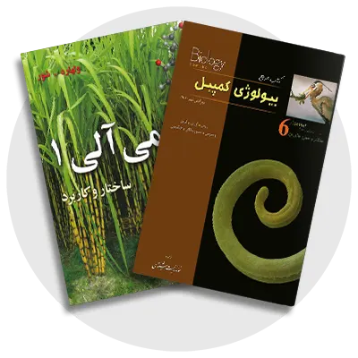 گروه علوم پایه