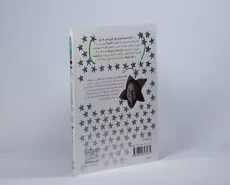 کتاب در جست و جوی گنج (جودی دمدمی و استینک 2) - 2