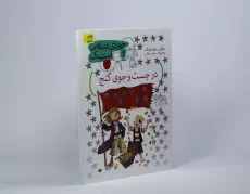 کتاب در جست و جوی گنج (جودی دمدمی و استینک 2) - 3