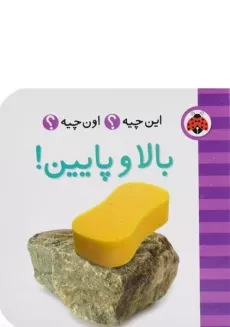 کتاب بالا و پایین! (این چیه؟ اون چیه؟)