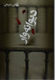 کتاب دیوانه وار