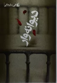 کتاب دیوانه وار