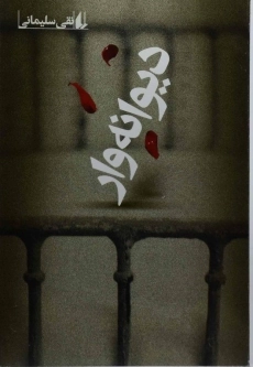 کتاب دیوانه وار