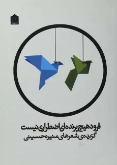 کتاب فرود هیچ پرنده ای اضطراری نیست - حسینی