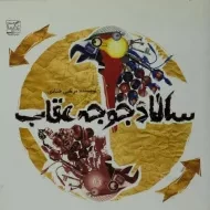 کتاب سالاد جوجه عقاب | مرتضی حدادی