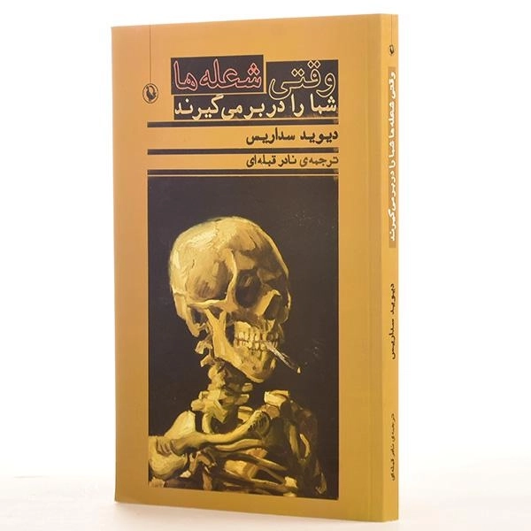 کتاب وقتی شعله ها شما را دربر می گیرند | دیوید سداریس - 2