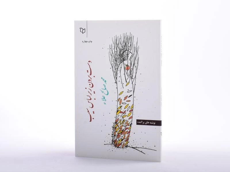 کتاب دست بردن زیر لباس سیب - 2