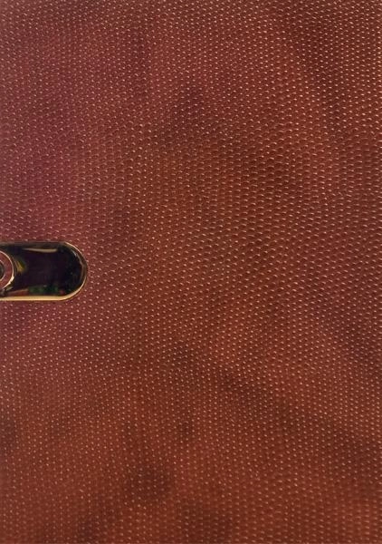 سالنامه 1399 (قطع ویزری) آفاق - 2 - 1