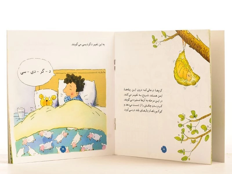 کتاب اول یک کرم ابریشم بود (معجزه های طبیعت) - 2