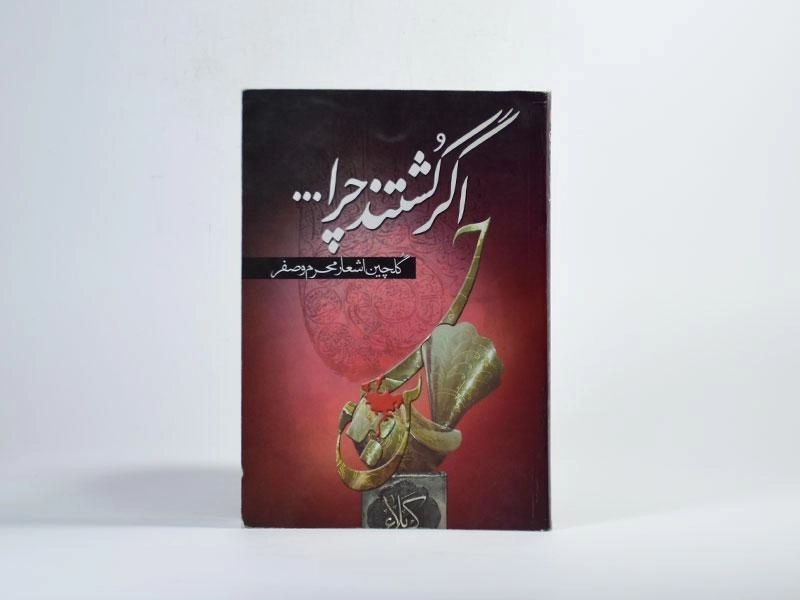 کتاب اگر کشتند چرا ... - جواد حیدری - 3