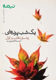 کتاب یک شب پرنده‌ای اثر لیلا کردبچه