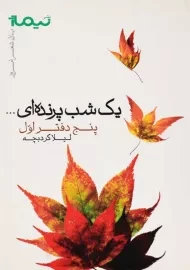 کتاب یک شب پرنده‌ای اثر لیلا کردبچه