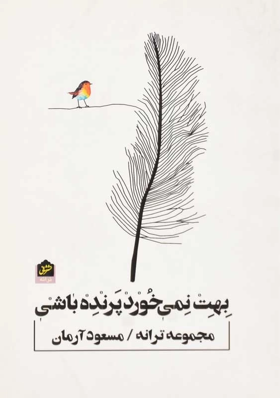 کتاب بهت نمیخورد پرنده باشی - 0