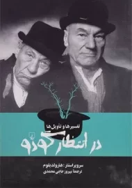 کتاب تفسیرها و تاویل ها در انتظار گودو