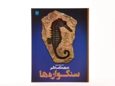 کتاب دانشنامه مصور دنیای شگفت انگیز سنگواره ها - 3