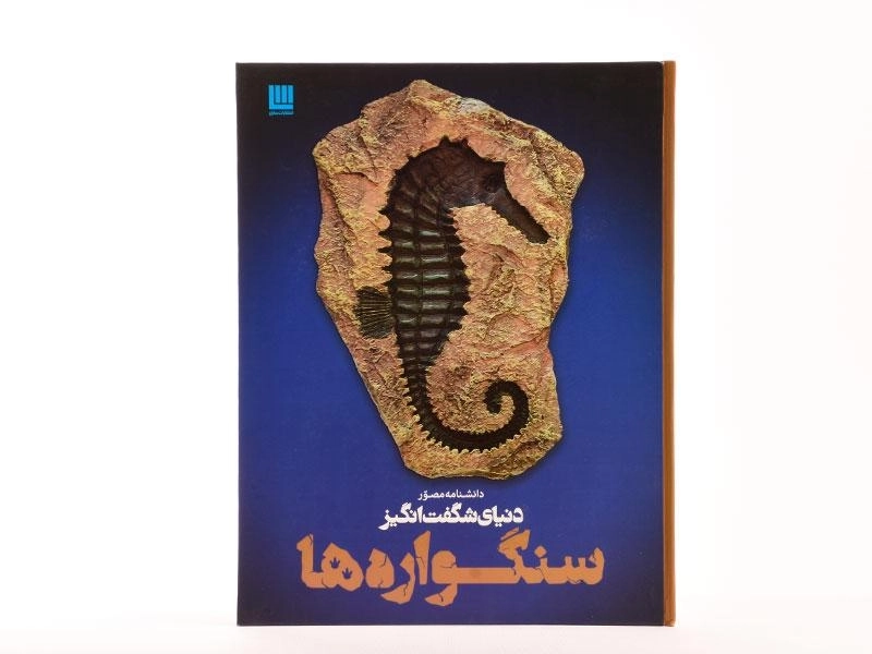کتاب دانشنامه مصور دنیای شگفت انگیز سنگواره ها - 3