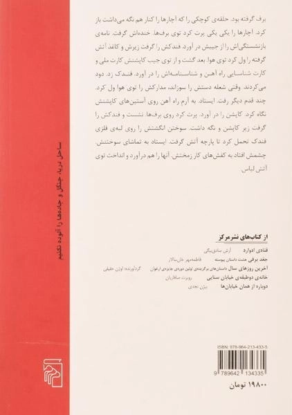 کتاب چیدن یال اسب وحشی - صالحی بافقی - 1