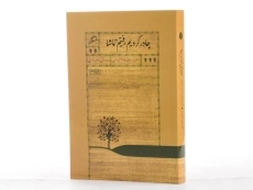 کتاب چادر کردیم رفتیم تماشا - عالیه شیرازی - 2