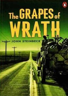 کتاب خوشه های خشم