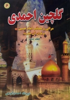 کتاب گلچین احمدی 6