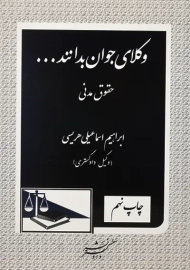 کتاب وکلای جوان بدانند... جلد 2 (حقوق مدنی)