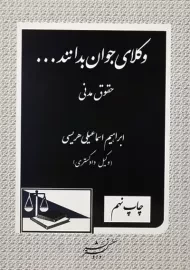 کتاب وکلای جوان بدانند... جلد 2 (حقوق مدنی)