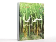 کتاب شیمی آلی | ولهارد و شور (جلد اول)