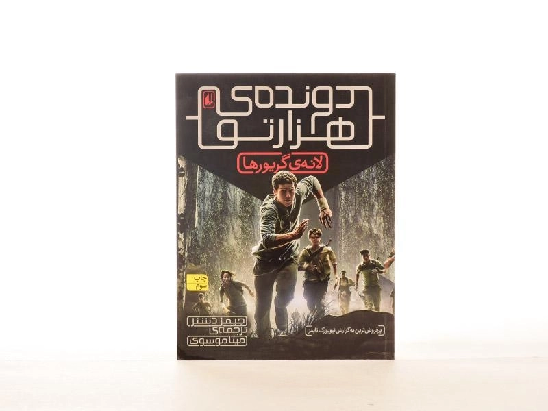 کتاب دونده ی هزار تو 1 (لانه ی گریورها) - 4