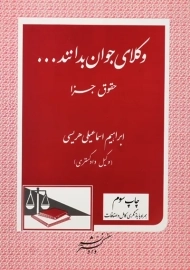 کتاب وکلای جوان بدانند... جلد 9 (حقوق جزا)