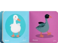 کتاب حیوان های اهلی (فرهنگ تصویری نی نی ها) - 2