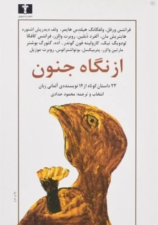 کتاب از نگاه جنون | ترجمه‌ی محمود حدادی