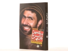 کتاب در کمین گل سرخ - محسن مومنی - 3