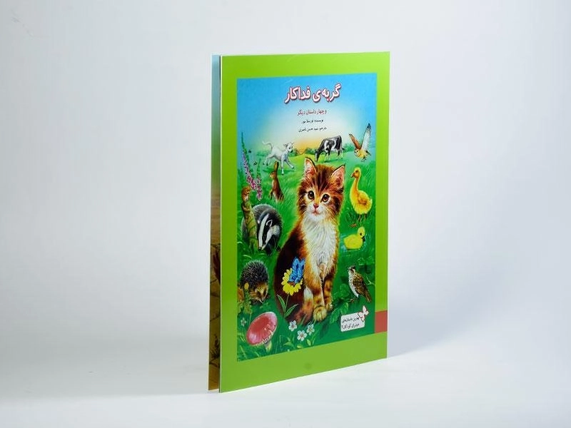 کتاب گربه ی فداکار و چهار داستان دیگر - 2
