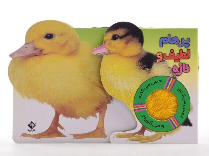 کتاب پرهام لطیف و نازه | مصطفی رحماندوست - 5