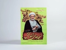 کتاب نسخه های شفابخش - شعبانی مفرد - 3