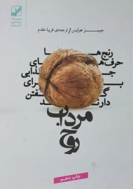 کتاب مرداب روح | جیمز هولیس