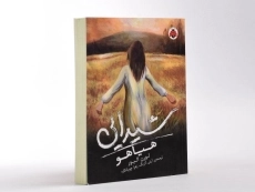 کتاب هیاهو (شیدایی 2) - 3