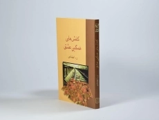 کتاب کفش های غمگین عشق - اعتمادی - 3