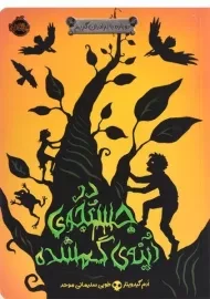 کتاب در جستجوی آینه ی گمشده