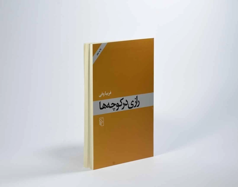 کتاب رازی در کوچه ها - فریبا وفی - 3