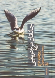 کتاب جاناتان مرغ دریایی