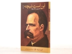 کتاب این است نیچه - گونتر شولته - 2