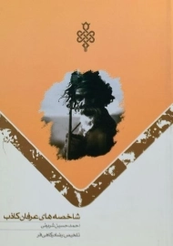 کتاب شاخصه های عرفان کاذب | شریفی