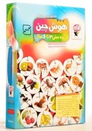 بازی فکری و آموزشی هوش چین (سه تکه)