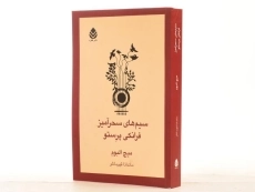 کتاب سیم های سحرآمیز فرانکی پرستو