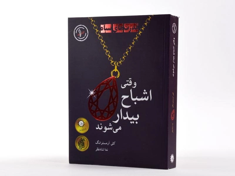 کتاب وقتی اشباح بیدار می شوند (قدرت های سیاه 1) - 2