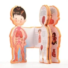 کتاب بدن من (کتاب عروسکی) سایه گستر - 2
