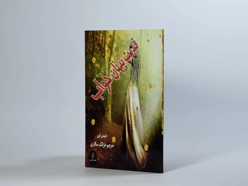 کتاب قدرت پنهان خواب - دنیس لین - 3