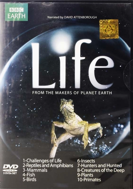 مستند آموزش زبان Life