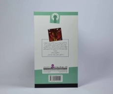 کتاب شکارچی اژدها (من قهرمانم 4) - 2